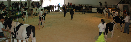 vista concurso chantada 2007