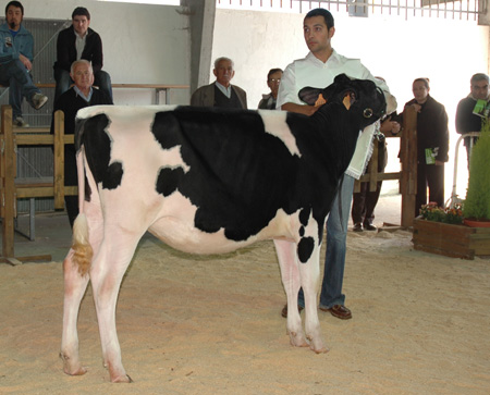 xata campiona chantada 2007