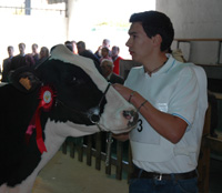 roi capón