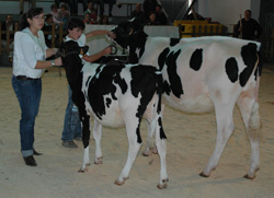 águeda capón