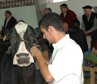 iván lópez