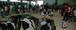 actividades domingo