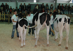CONCURSO MANEXADORES