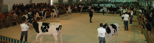 CONCURSO MANEXADORES ADULTOS