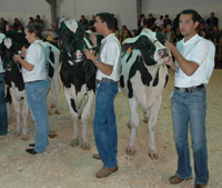 MANEXADORES ADULTOS