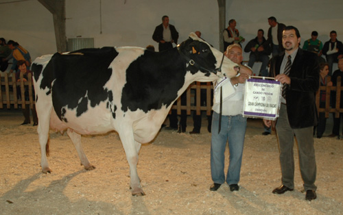 POZO LEE 4760