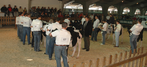 concurso de xatas