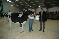 POZO LOURO MINA
