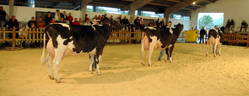 CAMPIONAS