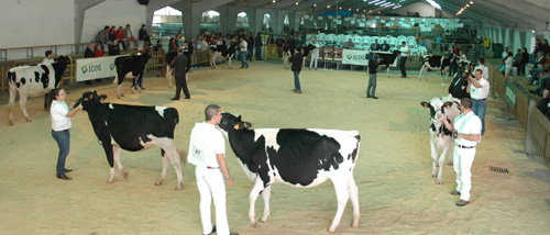 CONCURSO FRISON