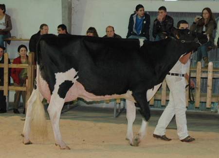 REY 454 ROSITA GOLDWYN