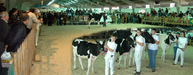 CHANTADA 2010