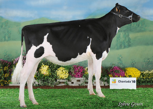 REY 509 NINFA SPIRTE