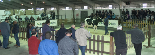 POXA AFRICOR LUGO