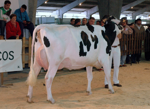 REGO AIRRAID CLAUDINA