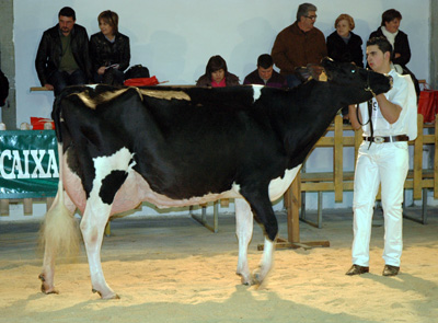 REY 454 ROSITA GOLDWYN