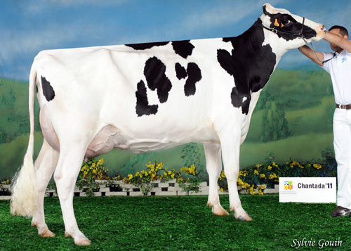 REGO AIRRAID CLAUDINA 2485