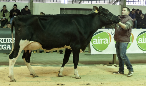 VILA TORREL LANA 7091