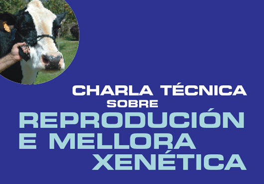 charla tecnica