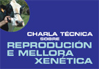 CHARLA TECNICA