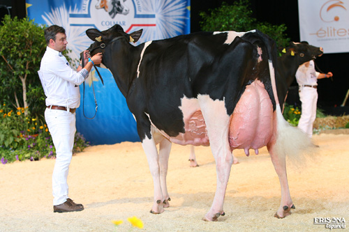 Rey 474 Sonrrisa Sid