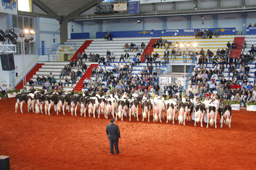 NACIONAL CREMONA