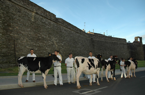 animais na ronda da muralla