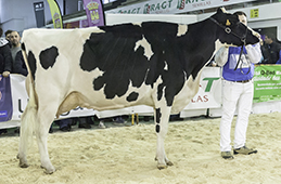 CAPON HOLSTEIN CONTROL RONI