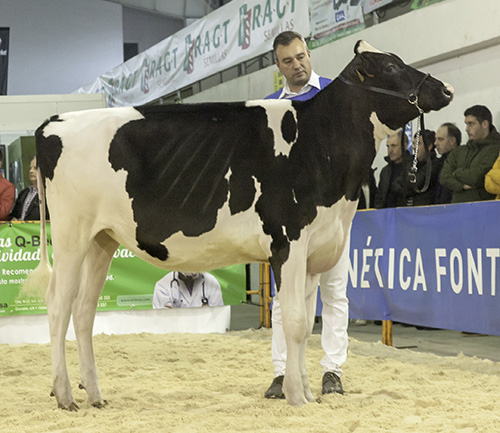 REIY 833 BEEMER ZYNAL