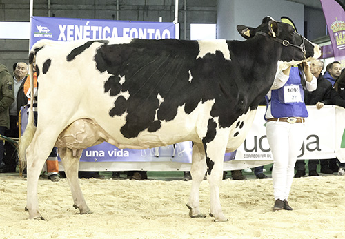 MANTEIGA SHOTTLE LUNA