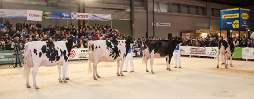 SILLEDA 2017
