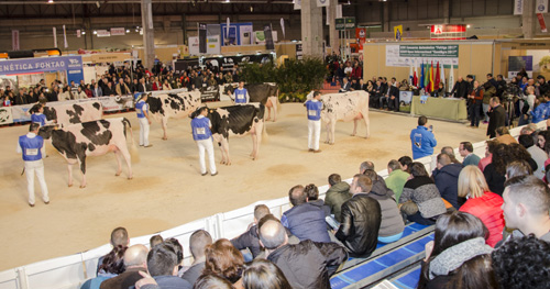 CAMPIONATO