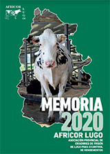 MEMORIA 2020
