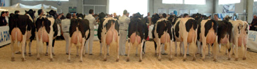 MOEXMU 2013