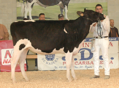 REY 547 SONRRISA SID