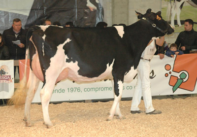 REGO XACOBEO XENA 8888