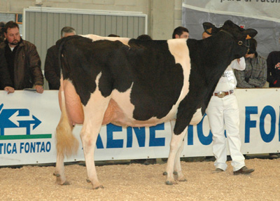 CESARES BOEZA DANCER