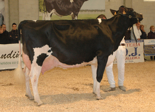 REY 454 ROSITA GOLDWYN