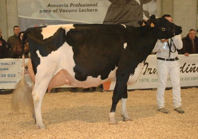 CAPON-HOLSTEIN GOLDWYN MARISA