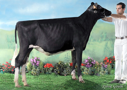 XATA SUBCAMPIOA