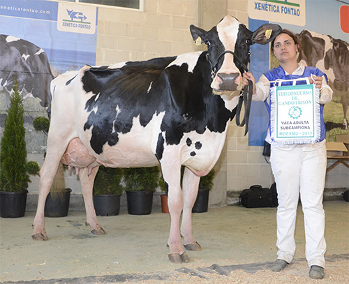MANTEIGA SHOTTLE LUNA
