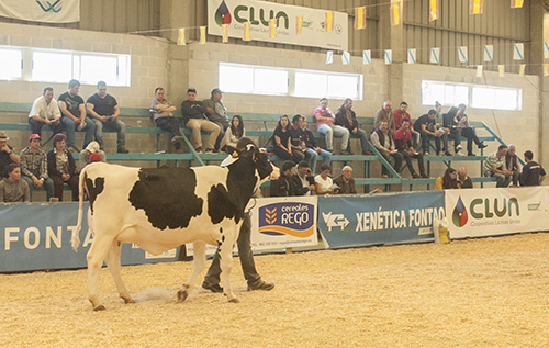 POXA LUGO