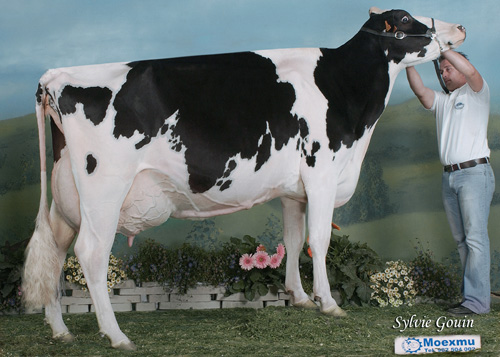 POZO LEE 4760
