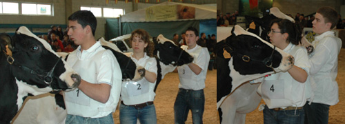 concurso manexadores