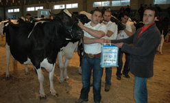 mellor criador ganderia nodi