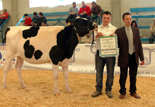 CAPONHOLSTEIN GOLDWYN CAROL
