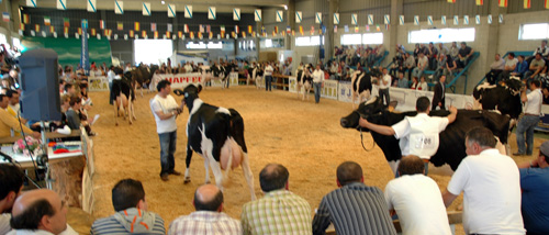 vista concurso