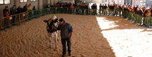poxa en monterroso