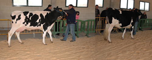 poxa de monterroso