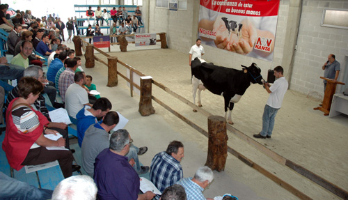 POXA AFRICOR LUGO